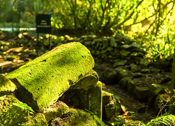 Otago Nenbutsuji Temple